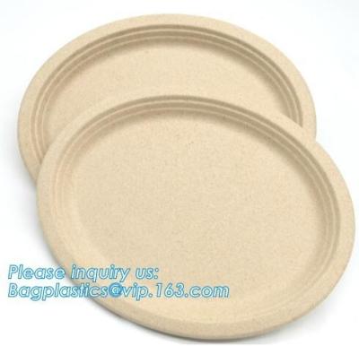 China bandeja biodegradável da cana-de-açúcar do compartimento dos utensílios de mesa 5, matéria prima descartável biodegradável Composta do papel da cana-de-açúcar de 100% à venda