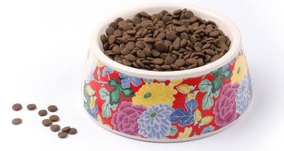 China Portable Eco Friendly Dog Products Food Water Bowl Ceramic Drink Dispenser Feeder for sale