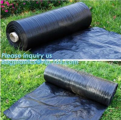 Chine La lutte contre les mauvaises herbes agricole tissée par pp Anti-UV de tissu de paysage, pp tissés aménagent le tapis en parc de barrière de mauvaise herbe de jardin de tissu, bagplasti à vendre