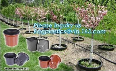 China plastic pots for nursery plants clear orchid pots photo,1, 2, 2.5, 3, 5, 7, 10 gallon nursery plastic flower pot,plantin for sale