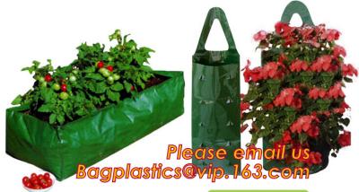 China OEM Planter Biodegradable Garden Bags , Hanging Growing Strawberry Bags for sale