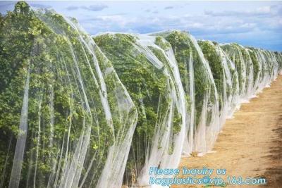 China Plastic Antivogel/Hagel/Insectinstallatiesbescherming Netto voor Landbouw, Netto insektenwerend middelnet/20x10 Antibladluis/Serre Te koop