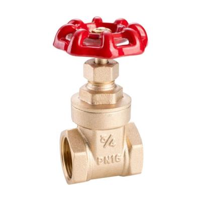 China General brass gate valve PN16 for sale