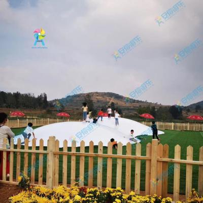 China Customized Commercial Grade Inflatable Bounce Cloud Jumping Pillow Inflatable Jumping Pillow Garden Games Outdoor Games for sale