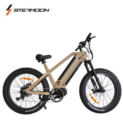 China Mid Dual Mountain Bike 2020 Motor 1000W G510 M620 Lithium Battery Electric Bicycle Mountain Electric Bike ebike with good quality for sale