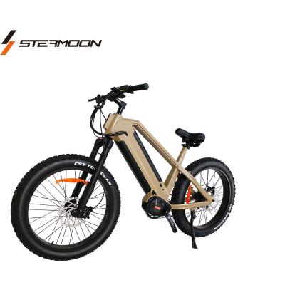 China Mid Motor G510 48V30Ah Double Fat Battery Long Range Electric Mountain Bike STEAMOON 1000W Bafang Electric Bike Mountain Bike With CE for sale