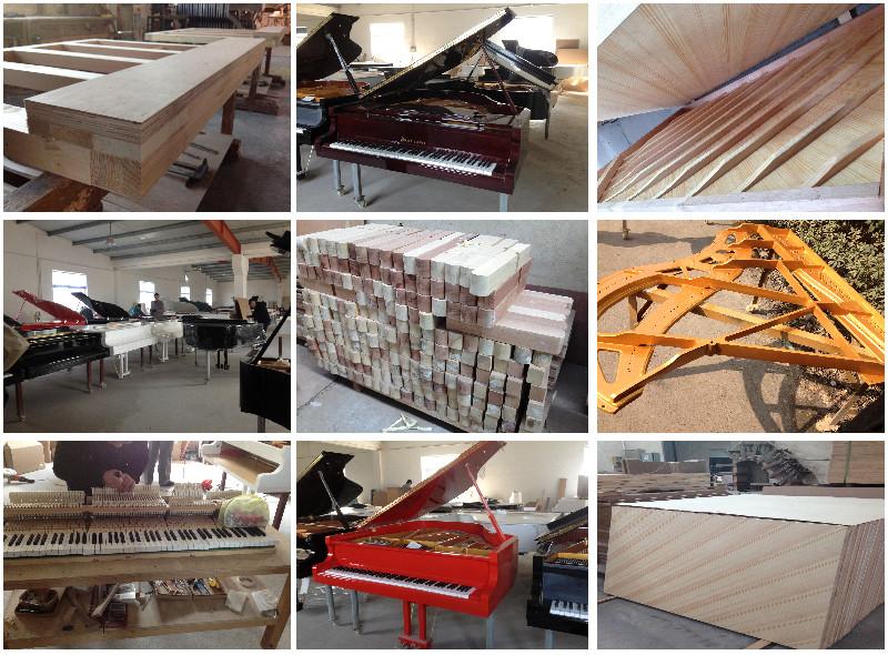 Verified China supplier - Suzhou Melodie Musical Instrument Co., Ltd