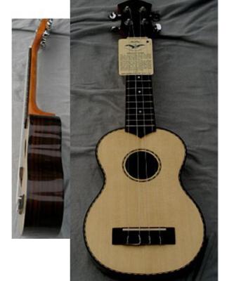 China Ukelele van de rozehout de Achter Elliptische 21inch Hawaï Gitaar met Middelgrote niveaurib AGUL21 Te koop