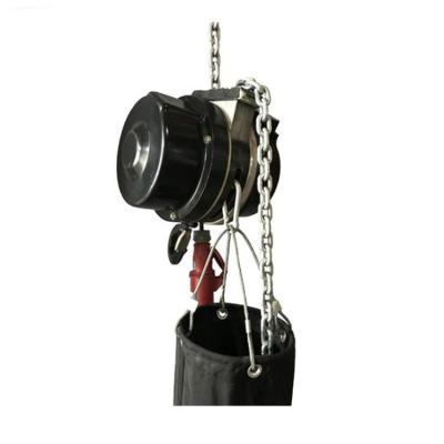 China Building Material Shops Manufacturer Supplies Electric Chain Hoist For Stage Performance for sale