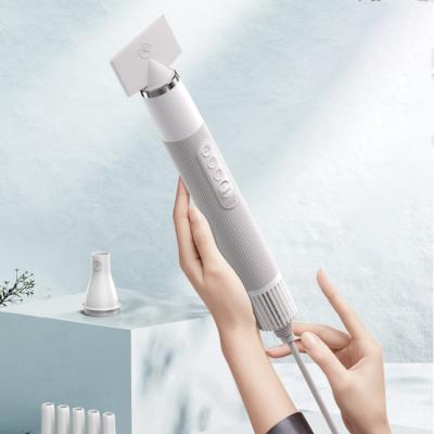 China Portable Mini Stocked Remove Hair Dryer Electric Brush Hair Dryer Home Handheld Large Pet Grooming Hair Dryer for sale