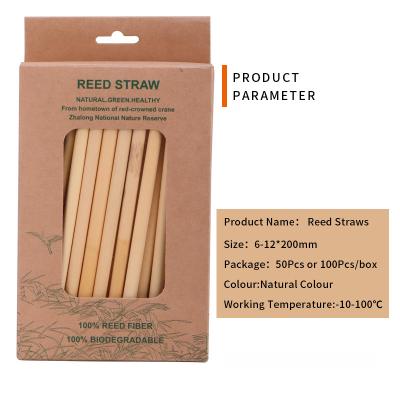 China 2022 New Compostable Eco Friendly Special Packing Drinking Straws 100% Sustainable Trending Natural Tubular Straw for sale