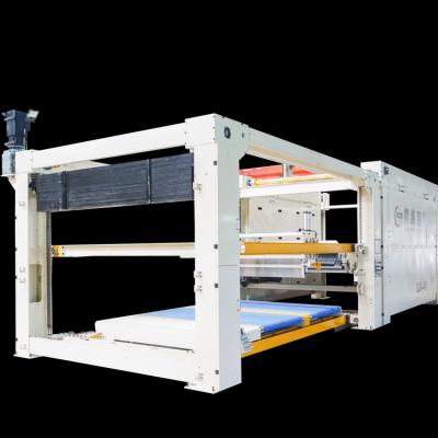 China Factory Price Gantry Carton Stacker With Accurate Carton Separation By Order for sale