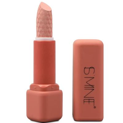 China Cruelty Free Makeup High Impact Unfaded Waterproof Matte Longwear Nude Lipstick High-Dye Lipstick for sale