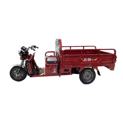 China Cargo 1000 Watt Electric Tricycles 3 Wheel For Transport Folding Tricycle For Golf for sale