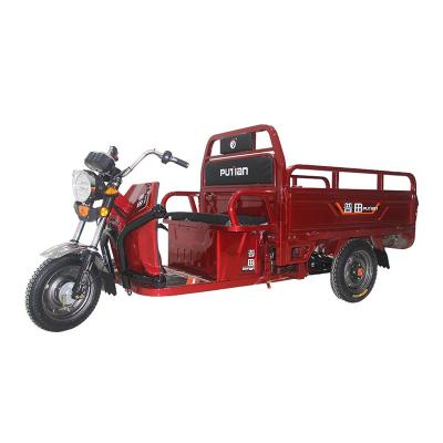 China China Source Factory Cargo Fat Bike 40-50km/h FOLDABLE Adult Fat Bike Electric Tricycle for sale