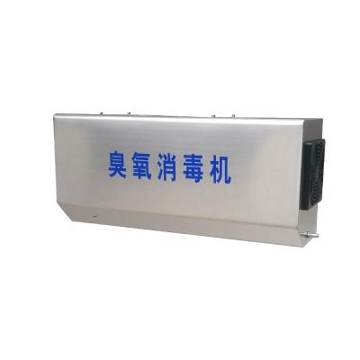 China Car Ozone Generator Disinfection Machine Price Home Ozonator 2g for sale