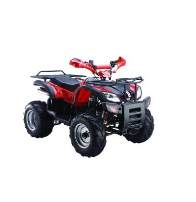 China New Arrival 300cc Off Road Buggy Go Karts For Sale Fr:10*4.5-5 / RR:11*7.10-5 for sale