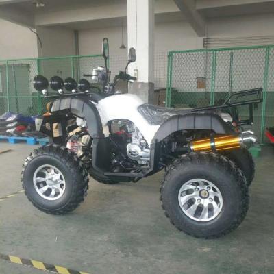 China cheap 200cc 2 seat off road buggy go karts for sale FR:10*4.5-5 / RR:11*7.10-5 for sale