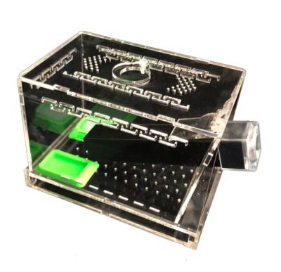 China Viable Acrylic Reptile Breeding Box Transparent Live Food StorageInsect Viewing Box For Crickets for sale