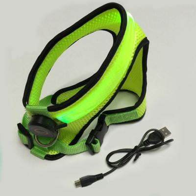 China 2021 New Products USB LED Dog Harness Rechargeable Pet Vest DETACHED Dog Harness for Small Large Dogs for sale