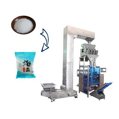 China Food Packaging Machine Automatic Seasoning Salt Packaging Machine Granule Weighing Packaging Machine for sale