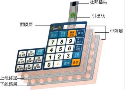 China Electric Industrial Single Membrane Switch Dull Polish , Membrane Key Switches for sale