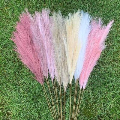 China Amazon Silk Success Pampas Grass Home Decoration Natural Dry Artificial Pampas Grass for sale