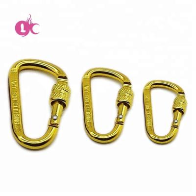 China Bag Maker Custom Logo Accessory Customized Mini Carabiner With Screw Lock Spring for sale