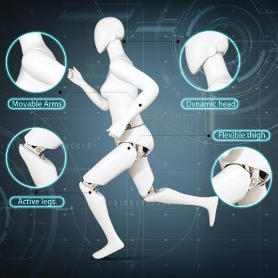 China New Designed Robot Mannequin Maternity Maternity Mannequins Sports Mannequins Car Crash Mock for sale