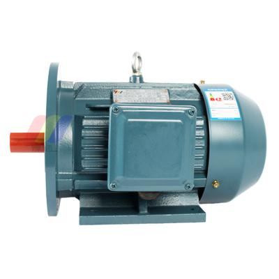 China YE2/IE2 Series Totally Enclosed Electric Motor 1hp Totally Enclosed Three Phase Induction Motor for Water Pumps, Fans, Air Compressors for sale