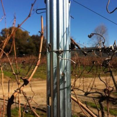 China Grape Vineyard Post Metal Garden Galvanized Vineyard Trellis Steel Pole for sale