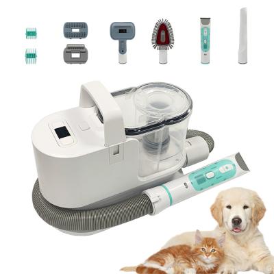 China Newest Pet Care Products 300W Big Tank Detachable Pet Grooming Vacuum with Low Noise for sale