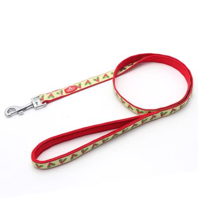 China Personalized Custom Pet Training 30 Ft 50 Ft Extra Long Dog Tracking Leash for sale