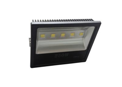 China 110V 220V COB 250 Watt Led Flood Light  IP66 Waterproof Dustproof Airport Lighting for sale