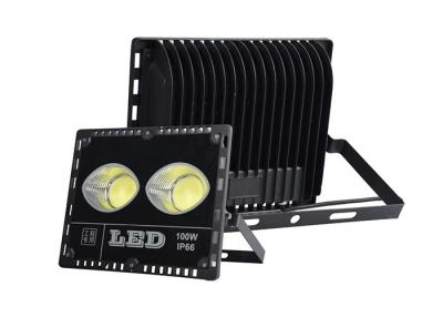 China Driverless AC 230V 110V 220V 100 W Led Flood Light SMD With Thickness Housing for sale