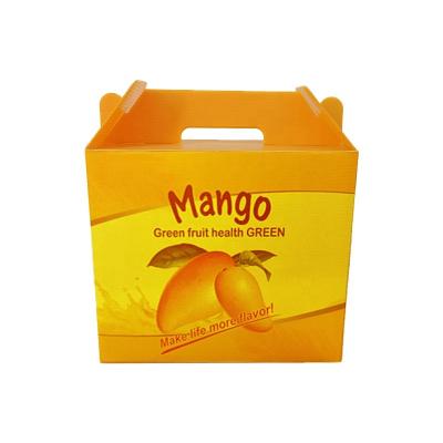 China Custom Corrugated Mango Cardboard Waterproof Storage Gift PP Fresh Fruit Plastic Packaging Boxes Corrugated Boxes for sale