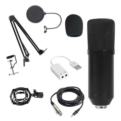 China Foldable Kinscoter Mic Bm-800 Studio Microphone Condenser Microphone Pro Audio USB Microphone With Sound Recording Arm Stand Filter for sale