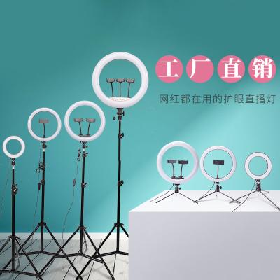 China Shine Most Popular Bleaching Artifact Around 10 Inch Fill Shade Live Broadcasting Lamp Self-Timer Ring Lamp Fill Light Ring Light for sale