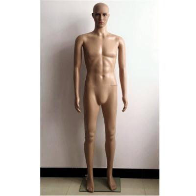 China Cheap Male Skin Color Male Plastic Stand Mannequin For Window Display Mannequin for sale