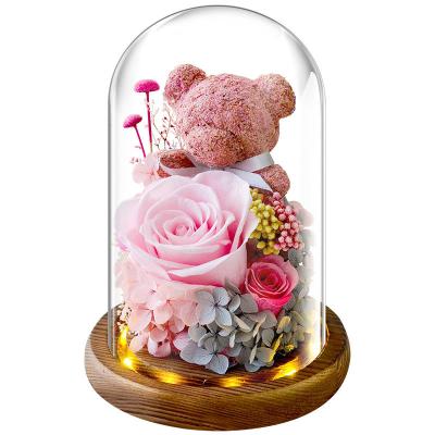 China Immortal Moss Bear Gift Box Set Dome  for Women Wife Girls Christmas Valentines Day Anniversary for sale