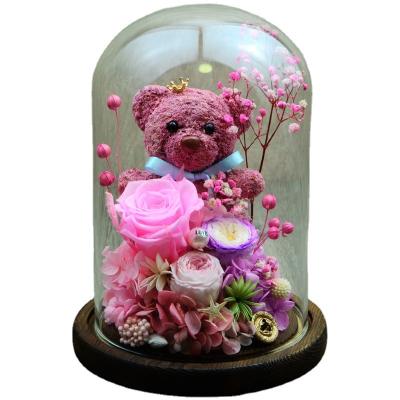 China Immortal Flower Moss Bear in Beautiful Glass Dome Rose Preserved Flower Gift for Valentine's Day Mother's Day Thanksgiving for sale