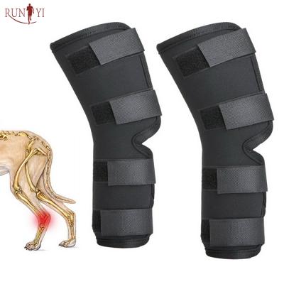 China Hot Selling Amazone Recovery Protector Dog Knee Brace Neoprene Dog Leg Brace Protector For Hind Legs for sale