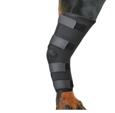 China High Quality Protective Canine Leg Hock Seal Wrap Leg Brace Neoprene Back Knee Brace For Dog for sale