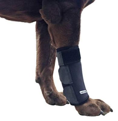 China Canine Wrap Knee Support Front Leg Compression Dog Brace Leg Care Brace Wounds Protects Heals for sale