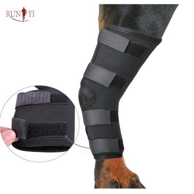 China Universal Canine Hind Leg Hedgehog Dog Wrap Joint Knee Brace For Dog for sale