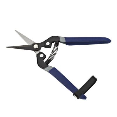 China ISO9001 Fruit and Flower Pruner Shears Tree Cutter Pruners Shears For Cut Flowers Trimming Plants 7-1/2