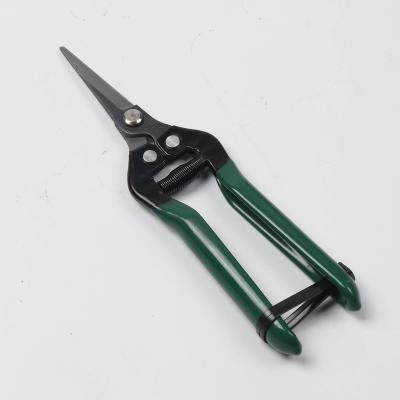 China ISO9001 Universal Cutting Fruit and Flower Cutter Bonsai Scissors Trimming Tools for sale