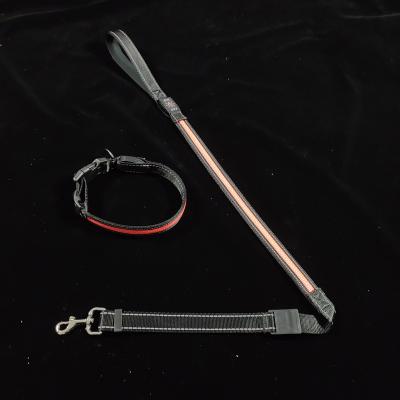 China Lights Have long standing reputation led dog leash braid dog leashes and collars for sale