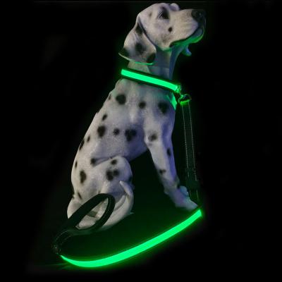 China Lights Professional manufacturer dog leashes custom logo led dog leashes and collars for sale