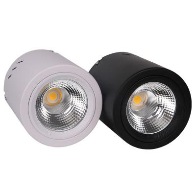 China EUROPEAN 10W 12W 15W 20W 30W 40W Anti Glare Round Ceiling Surface Mounted Cylinder LED downlight COB Spot Lights for sale